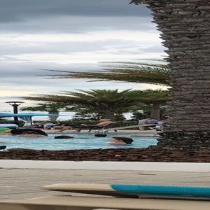 Meet your Posher, Shawn